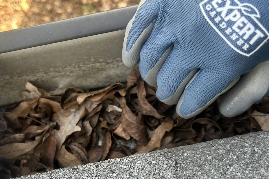 Gutter Cleaning Pickens