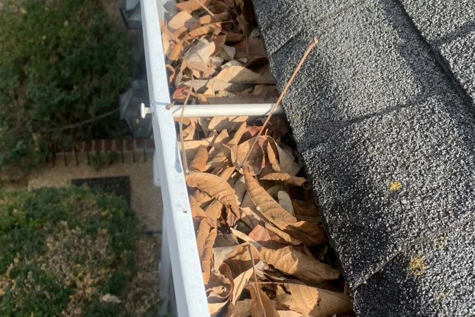 Gutter Cleaning Pickens